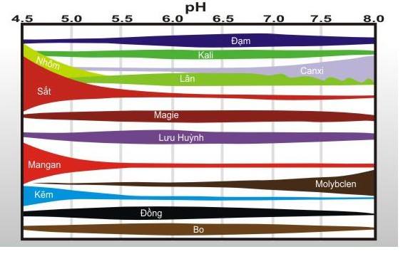 Vai trò của pH đất và cây trồng