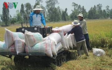 Nông nghiệp Việt Nam » Gạo Việt đã xuất khẩu đi hơn 150 thị trường, cơ hội tiếp tục rộng mở