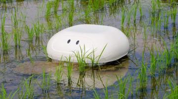 ‘Vịt’ robot giúp nông dân Nhật diệt cỏ không cần hóa chất