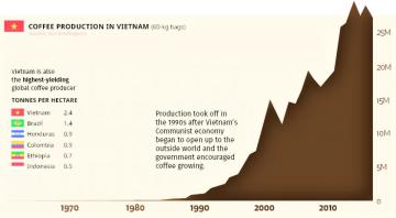 Việt Nam – nhà sản xuất cà phê lớn thứ hai của thế giới